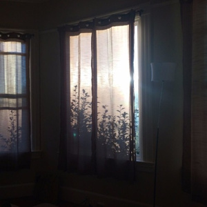 性淫中国老太太
